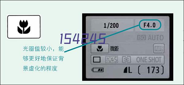 四两坨云腿大饼礼盒800g(800g*1枚）