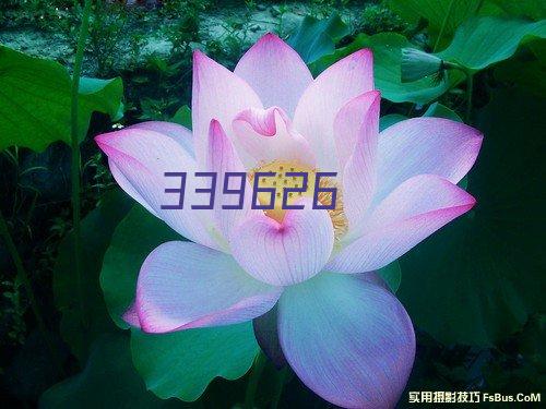 20240429救援一中队上富万顺物流抗洪抢险救援