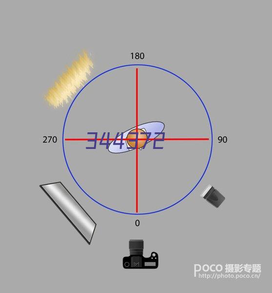 海珍花菇汤料