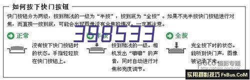 Êæ≥Â§ßÂà©‰∫öU17logo