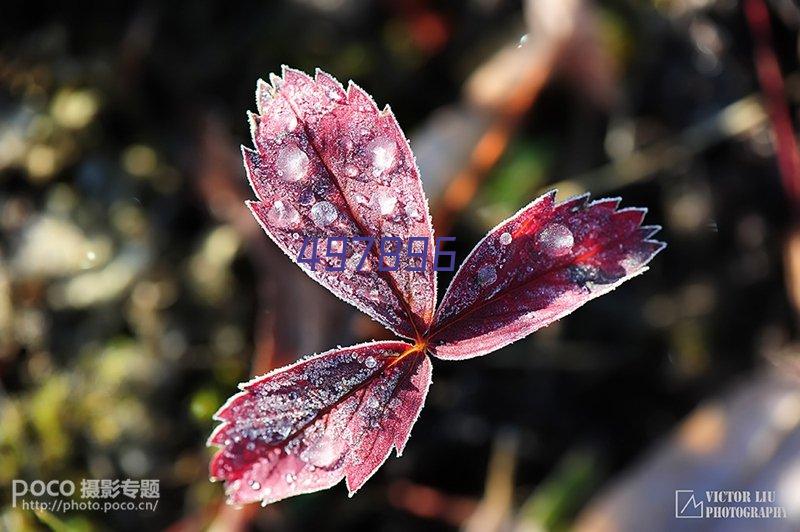 魔獸爭霸《善良的死神》通關心得