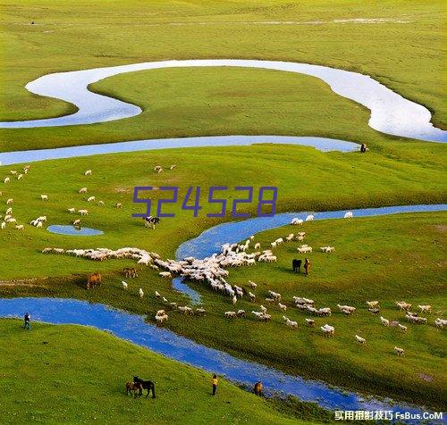 米家小米水离子吹风机水离子护发大功率速干智能温控冷热风循环CMJ01LX