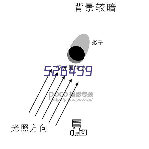 NYP内啮合高粘度泵