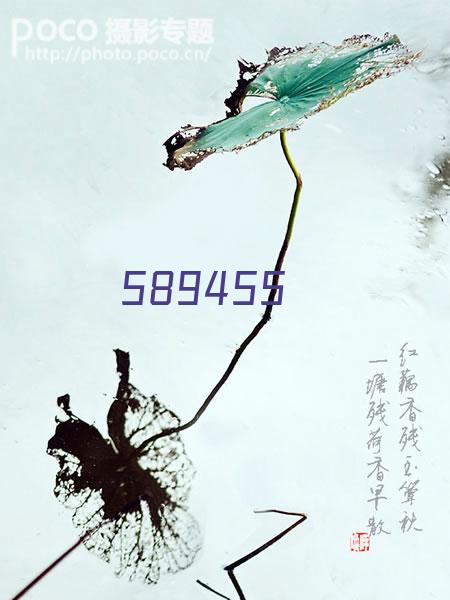 奇门飞花令（0.1折真武江湖）