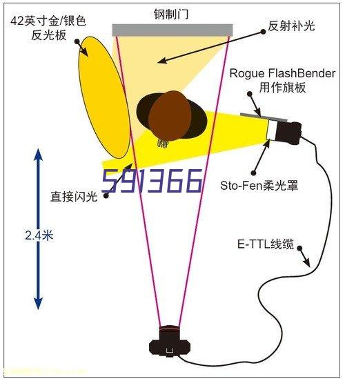 东珀斯老鹰女篮