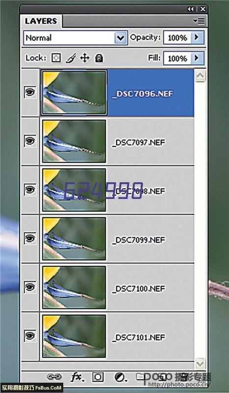 浙江省真空装备产业技术联盟