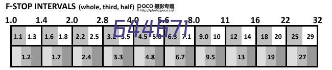 2003-2009年伊拉克叛乱和反叛乱的种类.pdf