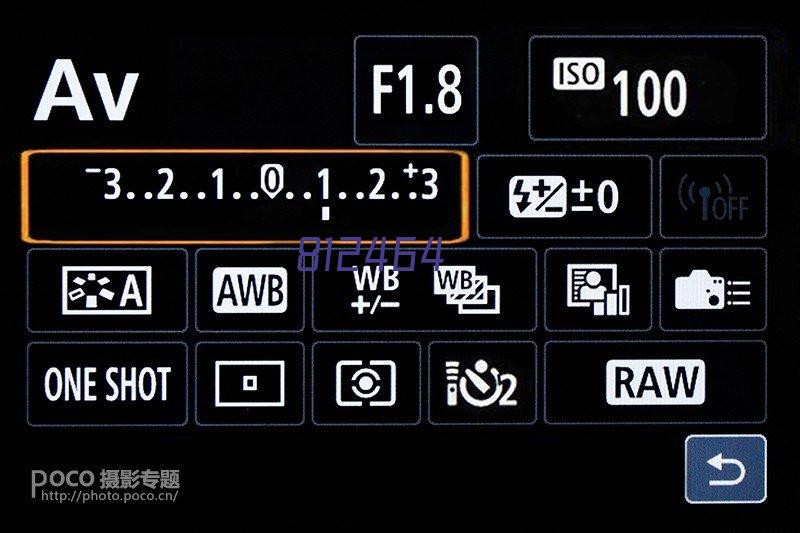 D-4-200/DD-6-200日本进口speedroller液压同步泵（紧凑型）