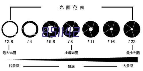 在草地玩耍的大熊猫