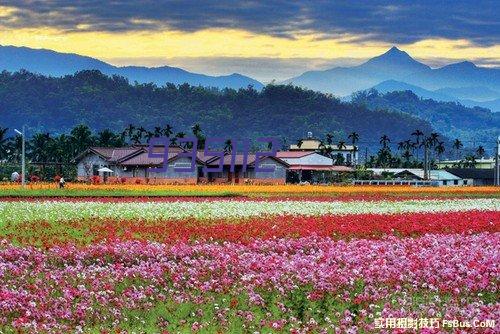 夕茵颜