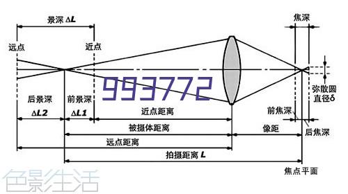 植物大战怪物下载安卓版